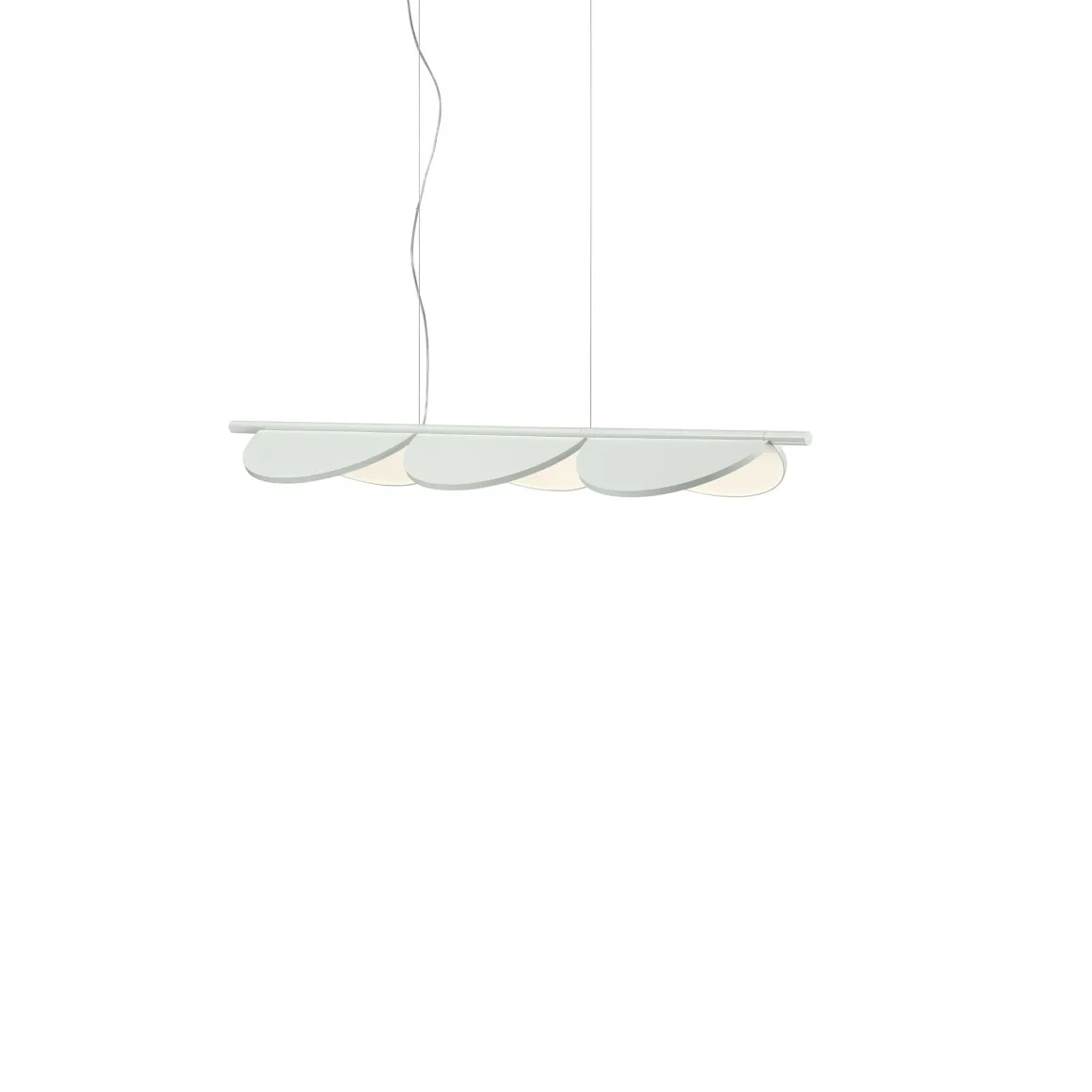 Almendra Linear