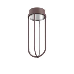 In Vitro Ceiling