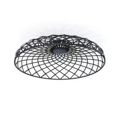 Skynest C
