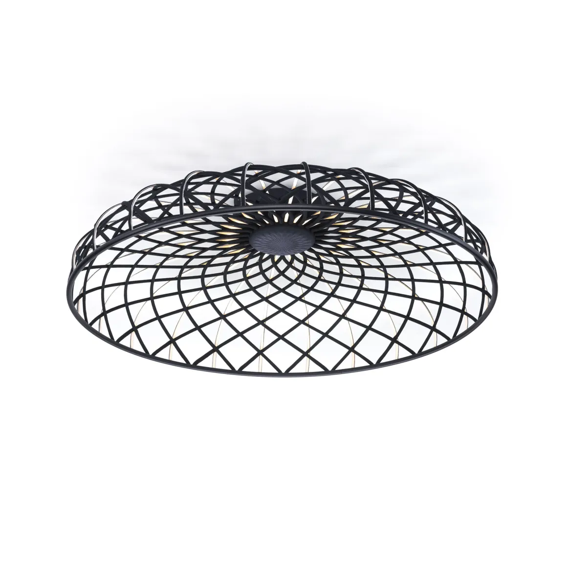 Skynest C