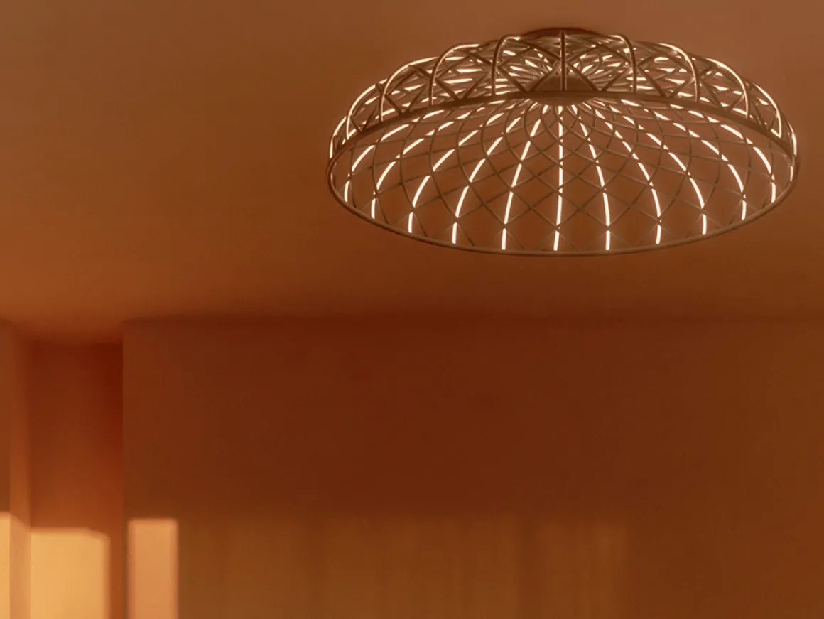 Skynest C