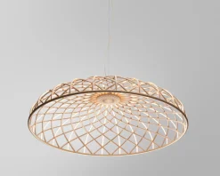 Skynest Suspension