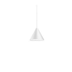 String Light Cone