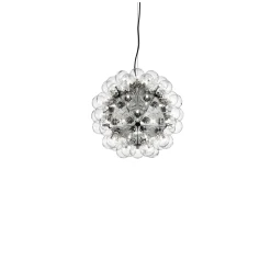 Taraxacum 88 Suspension 1