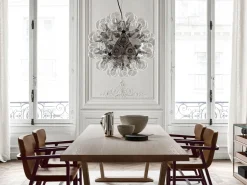 Taraxacum 88 Suspension 1