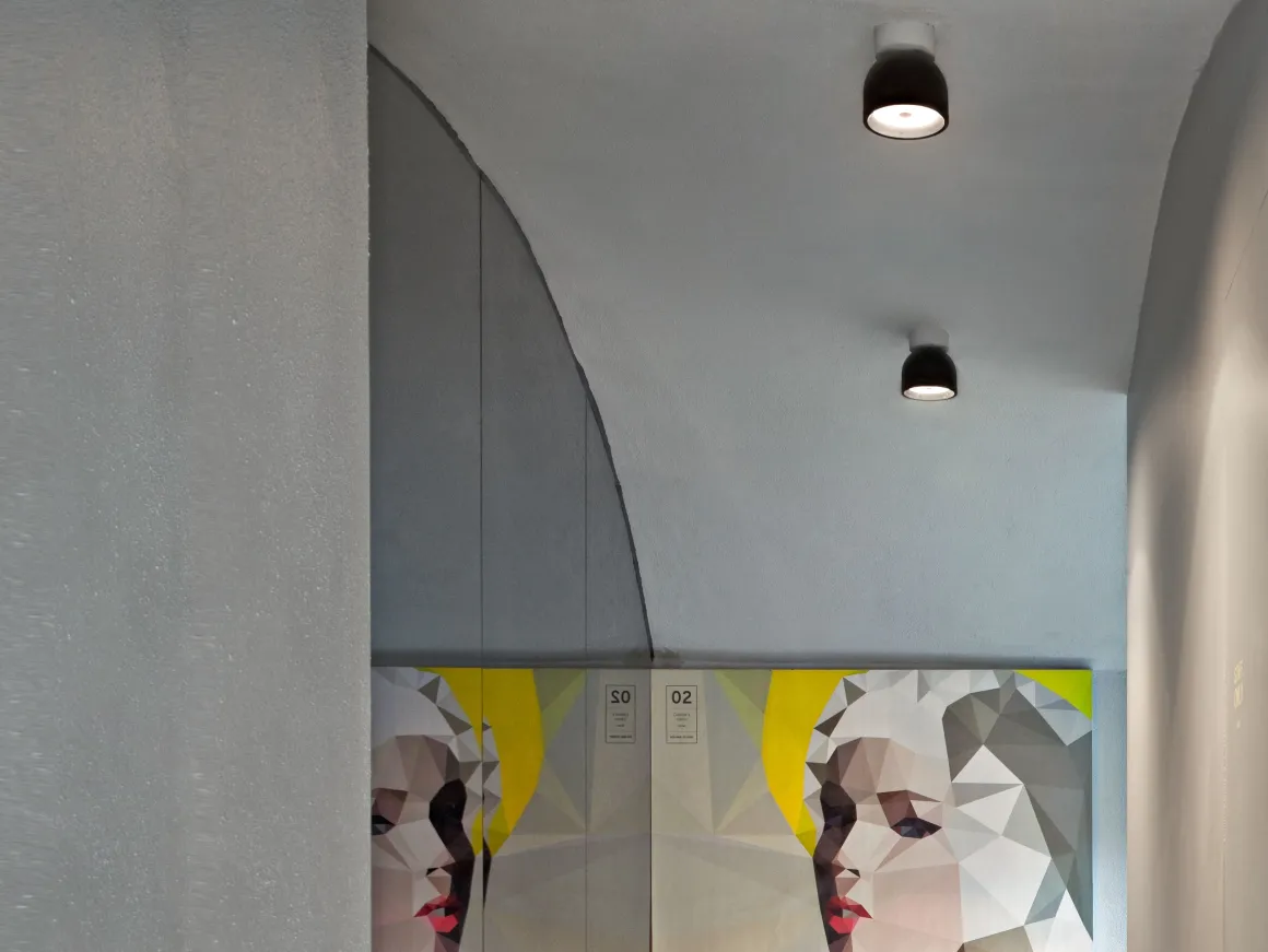 Wan Ceiling/Wall